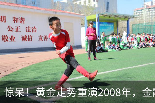 惊呆！黄金走势重演2008年，金融危机真的要来了？